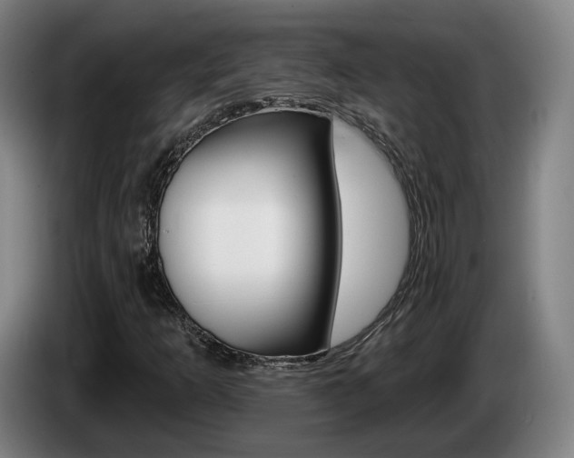 X0000085261253200703090847