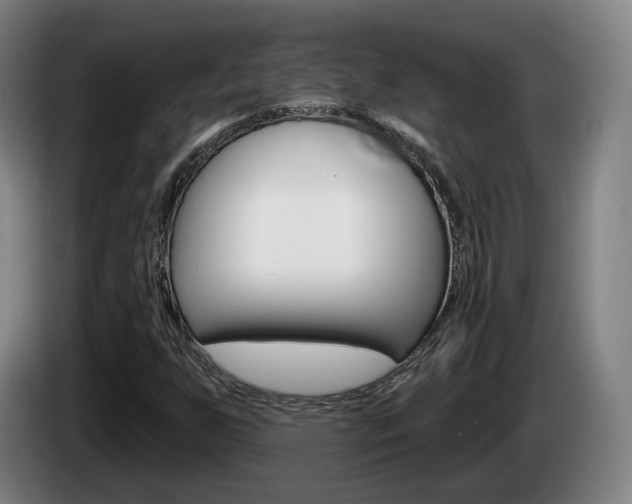 X0000085261255200703090847