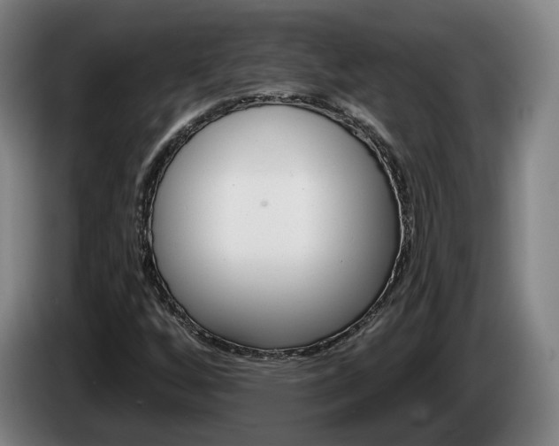 X0000085261256200703090847
