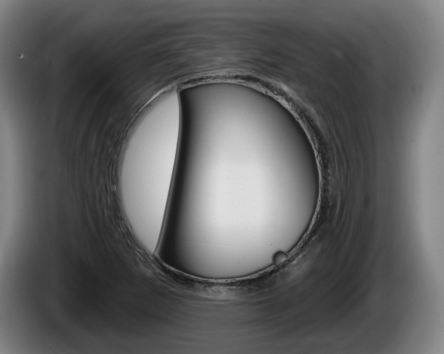 X0000085261265200703090847