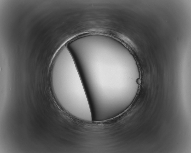 X0000085261268200703090847