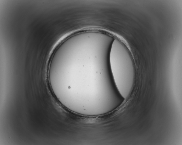 X0000085261279200703090847