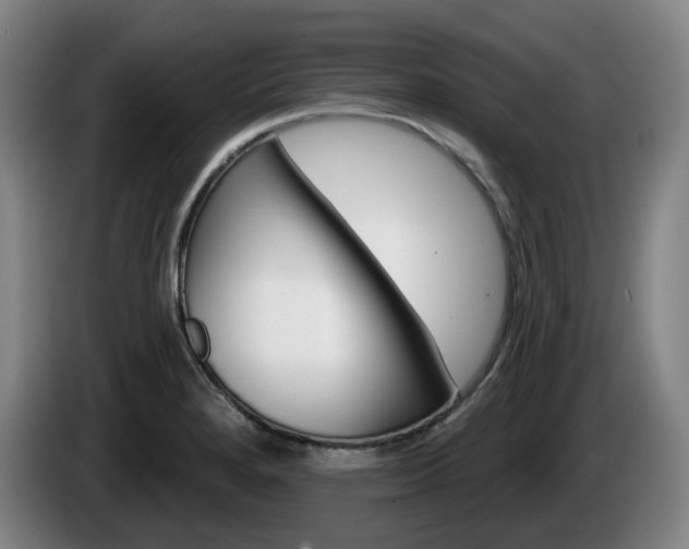 X0000085261280200703090847