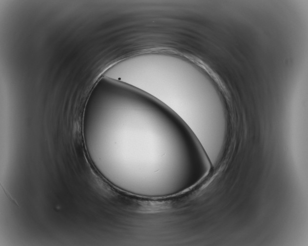 X0000085261281200703090847