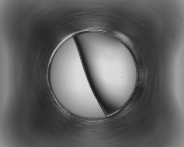 X0000085261284200703090847