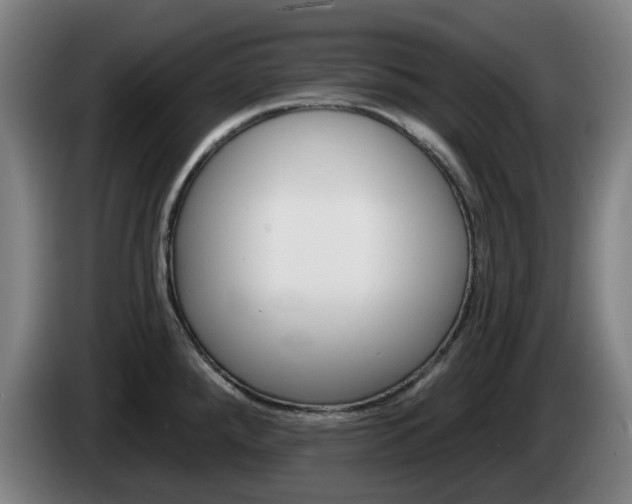 X0000085261288200703090847