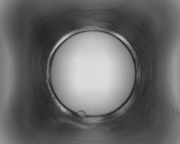 X0000085261294200703090847