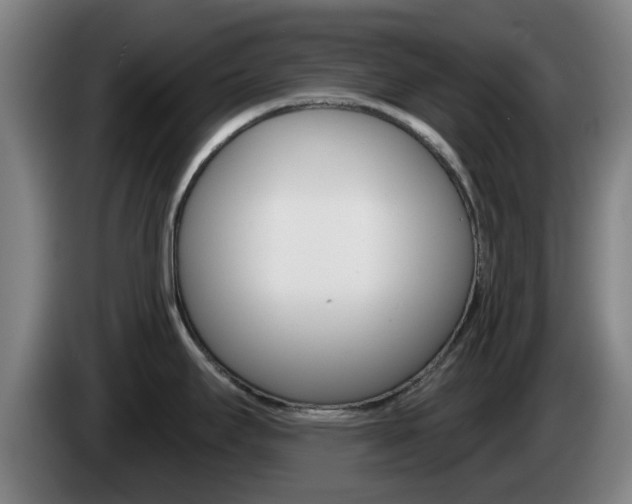 X0000085261295200703090847