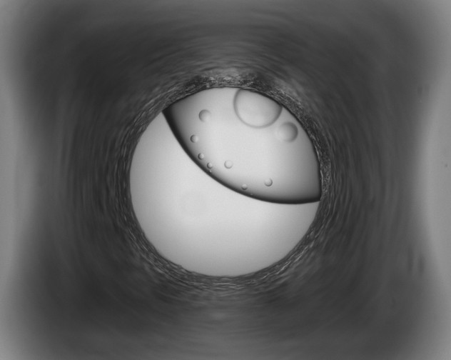 X0000085261297200703090846