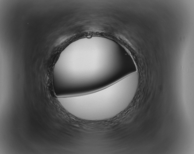 X0000085261303200703090846