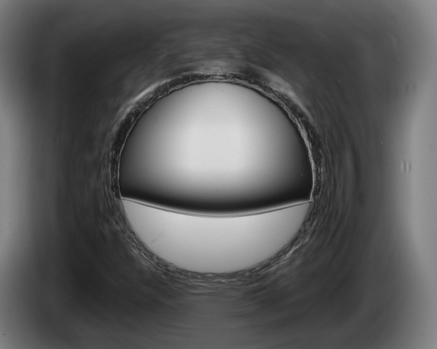 X0000085261304200703090846