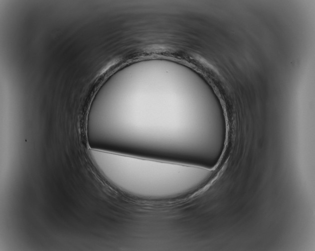 X0000085261305200703090846