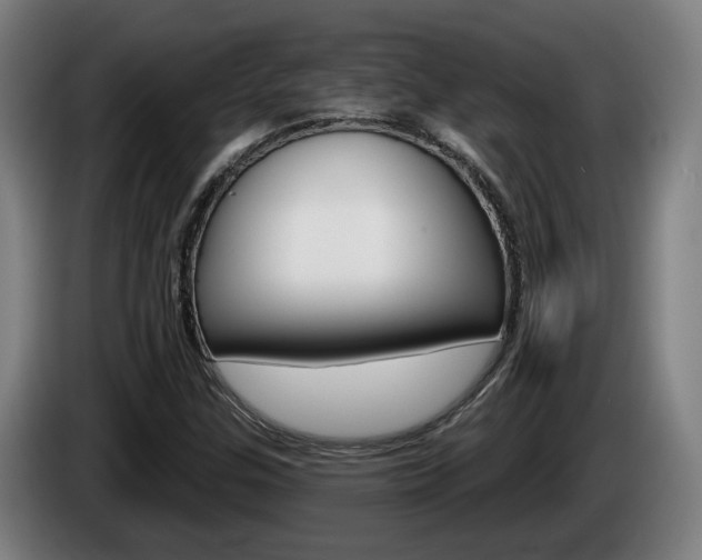 X0000085261307200703090846