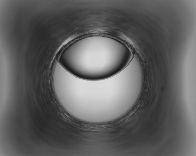 X0000085261308200703090846