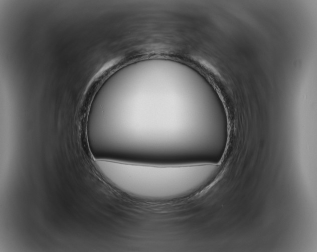X0000085261309200703090846