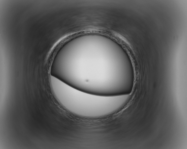 X0000085261310200703090846