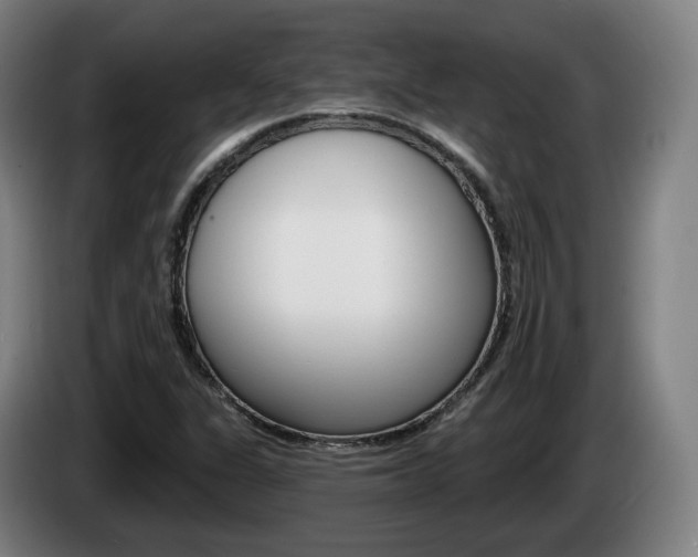 X0000085261311200703090846