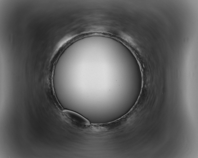 X0000085261312200703090846