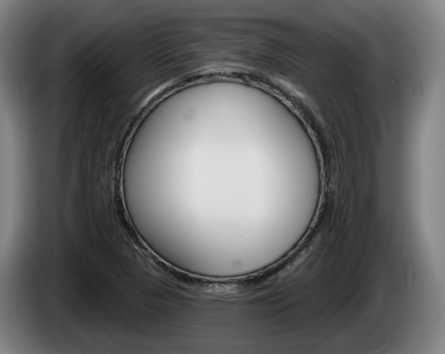 X0000085261313200703090846