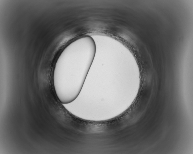 X0000085261314200703090846