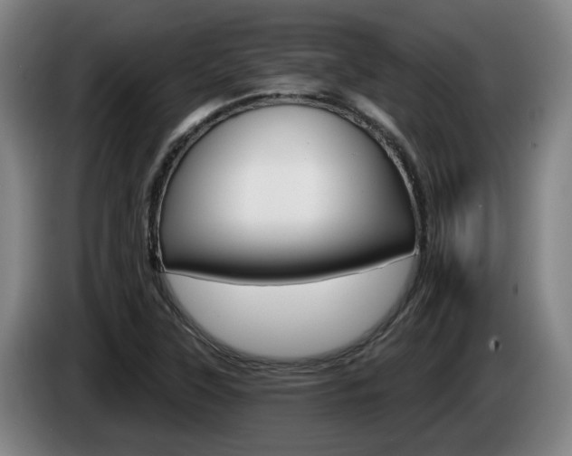X0000085261315200703090846