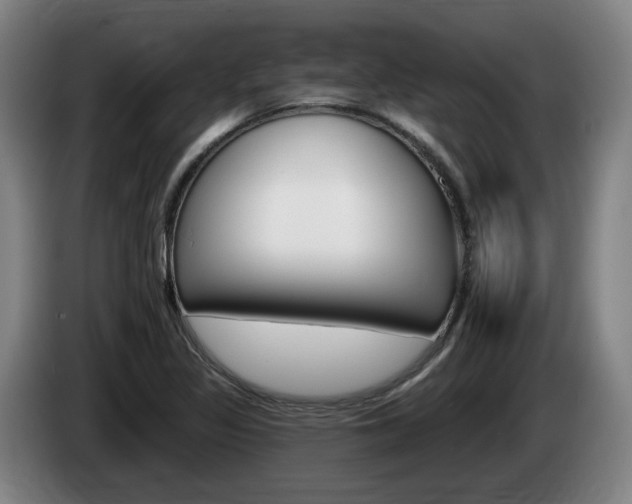 X0000085261317200703090846
