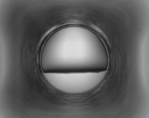 X0000085261318200703090846