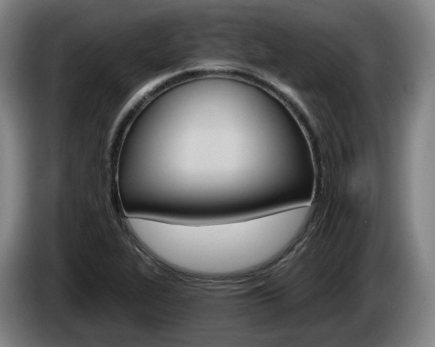 X0000085261319200703090846