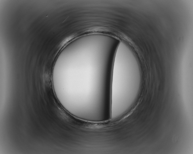 X0000085261321200703090846