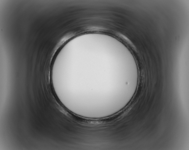 X0000085261322200703090846