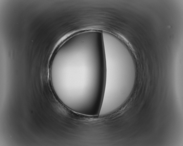 X0000085261324200703090846