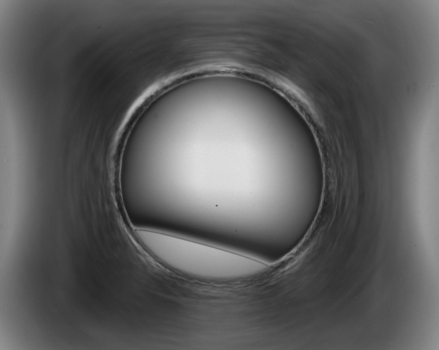 X0000085261326200703090846