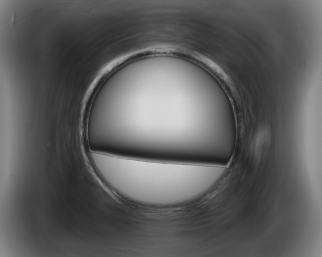 X0000085261327200703090846