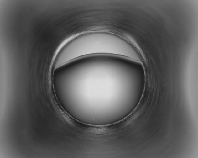 X0000085261328200703090846