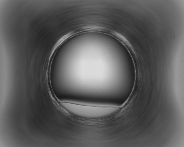 X0000085261330200703090846