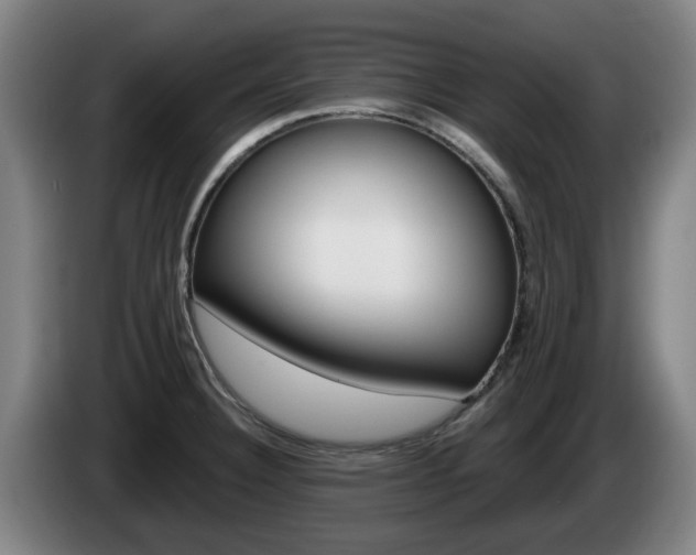 X0000085261332200703090846