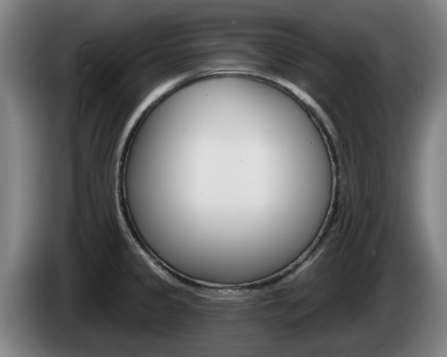 X0000085261333200703090846