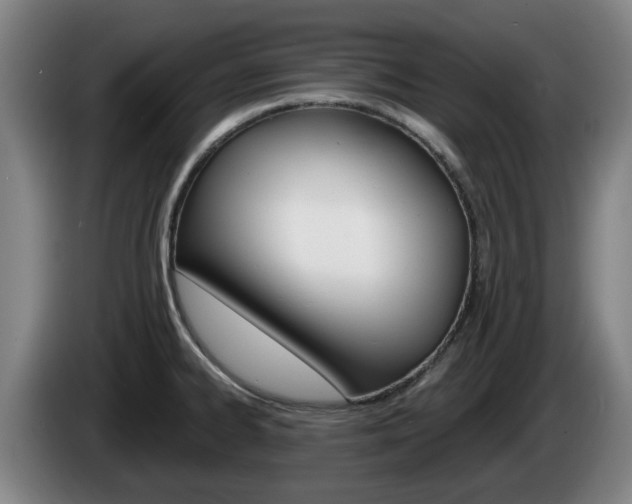 X0000085261334200703090846
