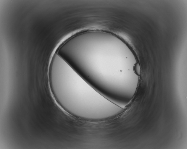X0000085261335200703090846