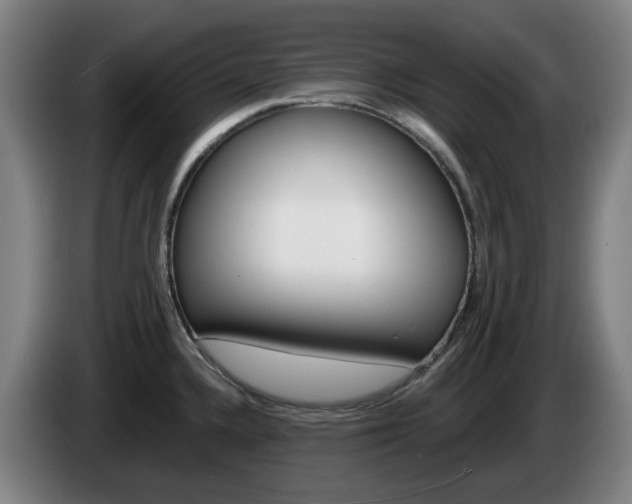 X0000085261336200703090846