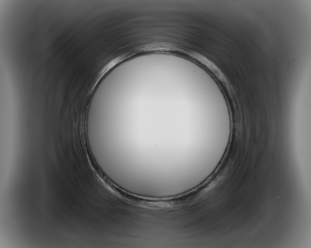 X0000085261337200703090846