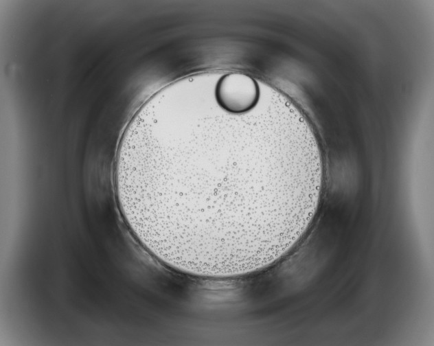 X0000085261338200703090846