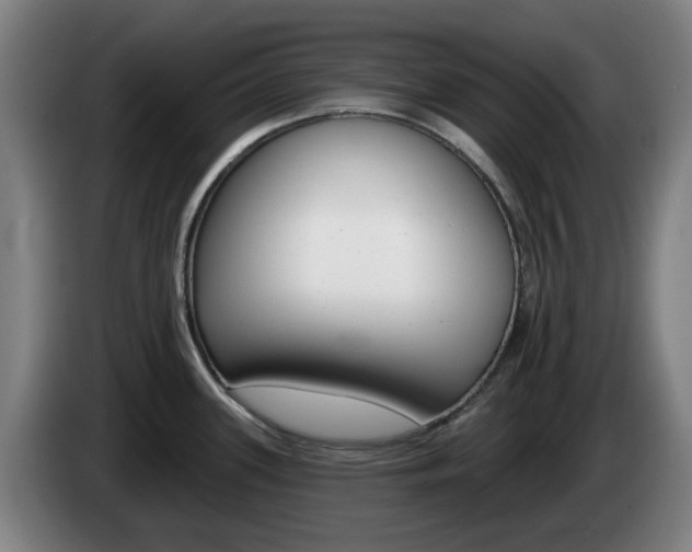 X0000085261339200703090846