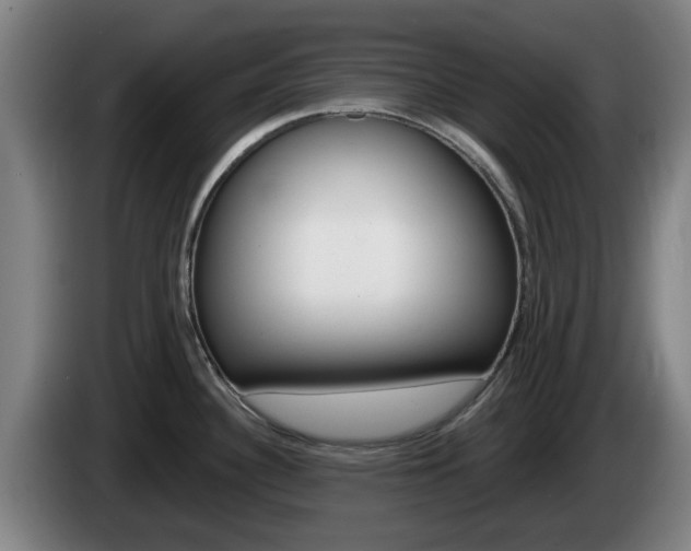 X0000085261340200703090846