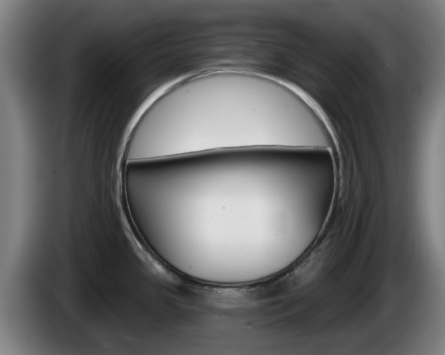 X0000085261341200703090846