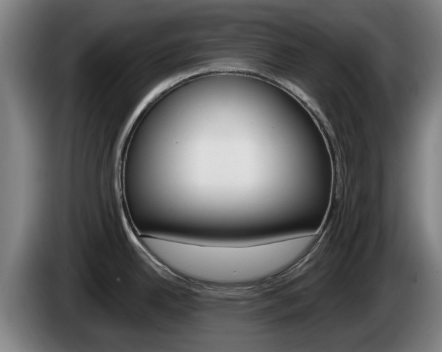X0000085261342200703090846