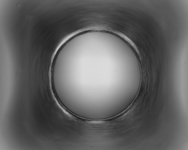 X0000085261343200703090846