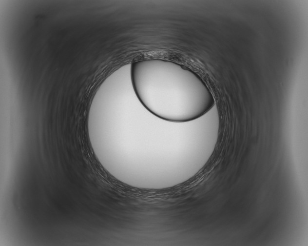 X0000085261345200703090846