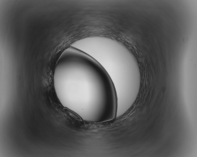 X0000085261349200703090846