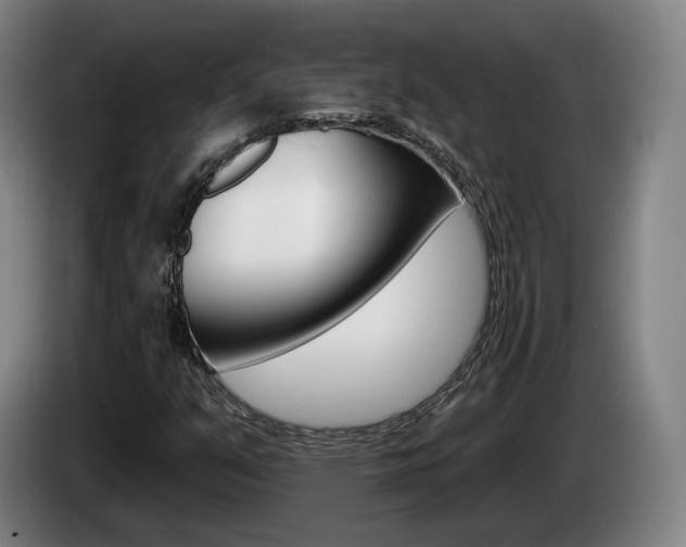 X0000085261351200703090846